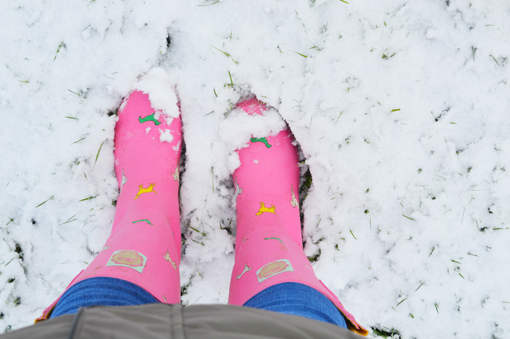 Pink Joules Wellies