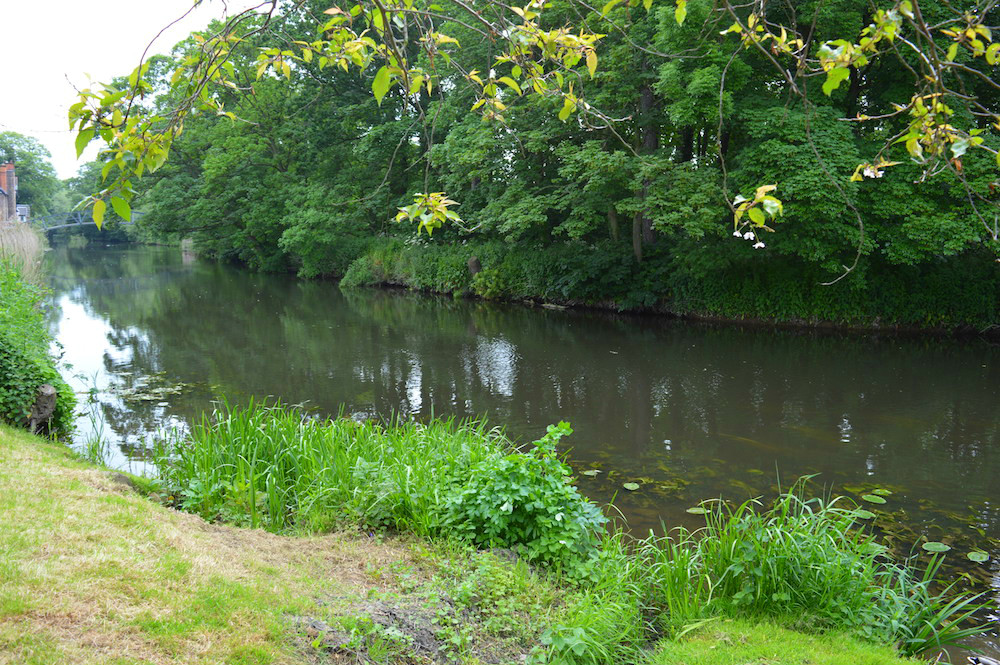 UK River Scene Picture