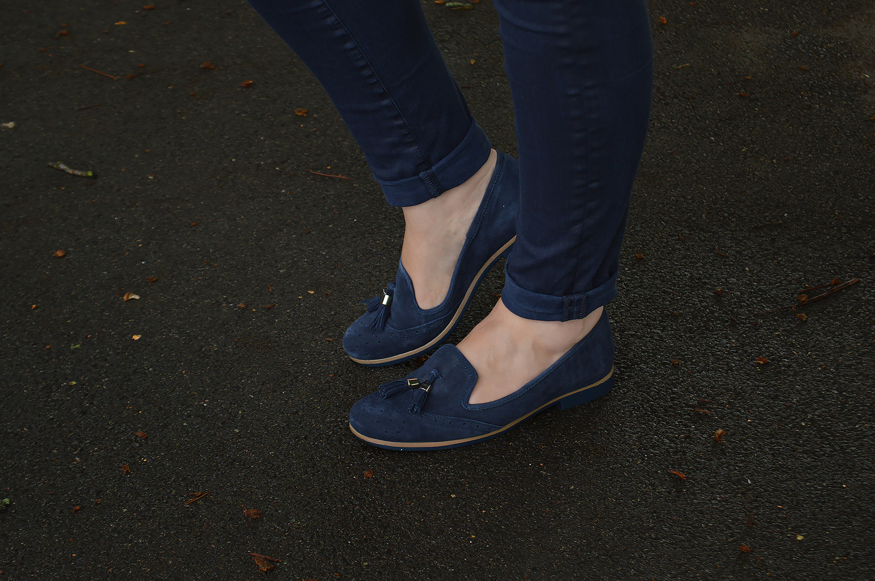 Lotus Navy suede Loafers