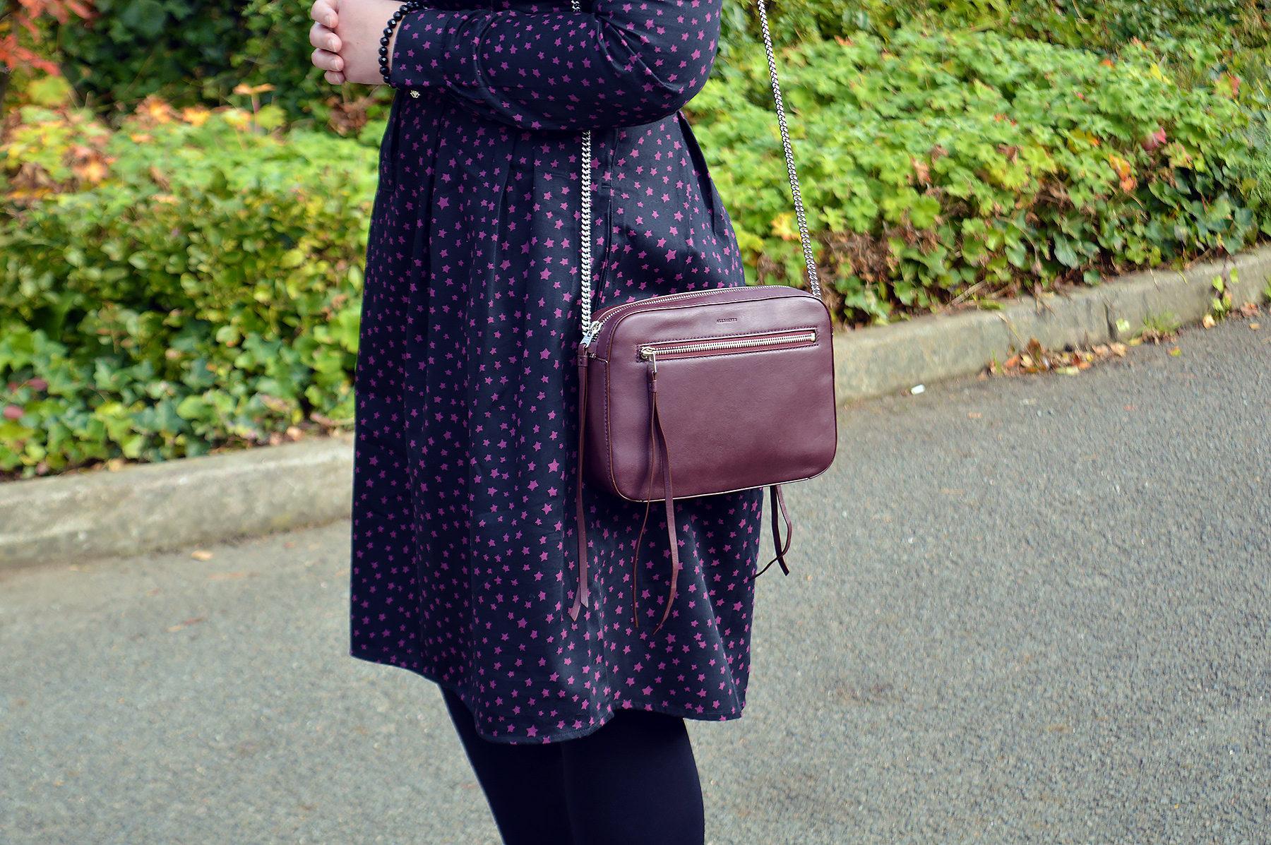 AllSaints Burgundy Leather handbag