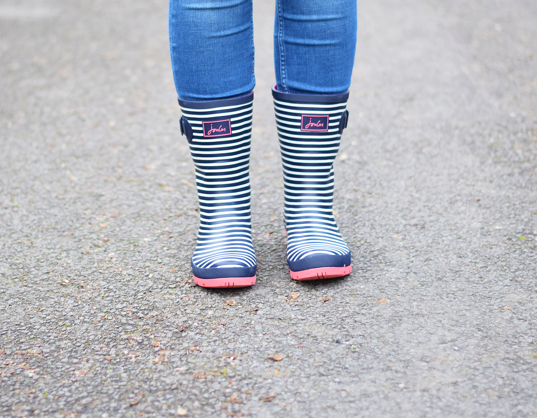 Joules Molly Printed Mid-Height Wellies