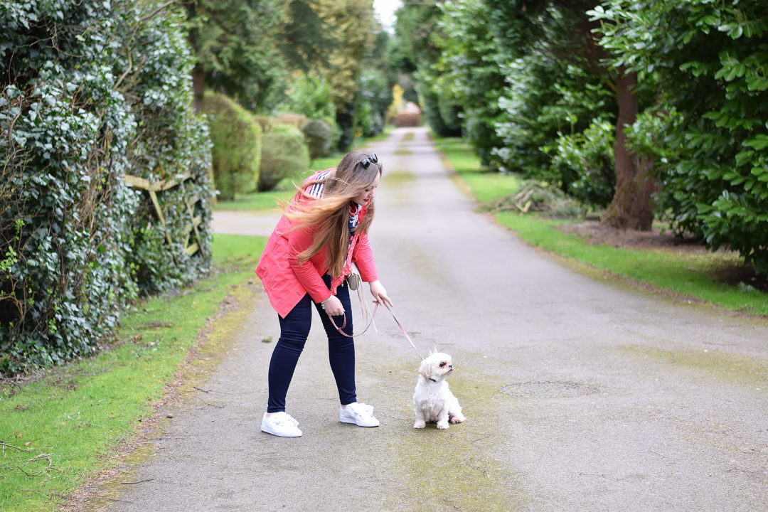 Pink Dog walking Coat