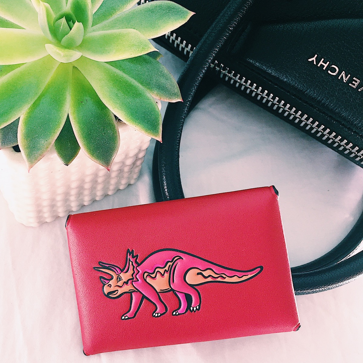 Coach Cardholder With Dino Review