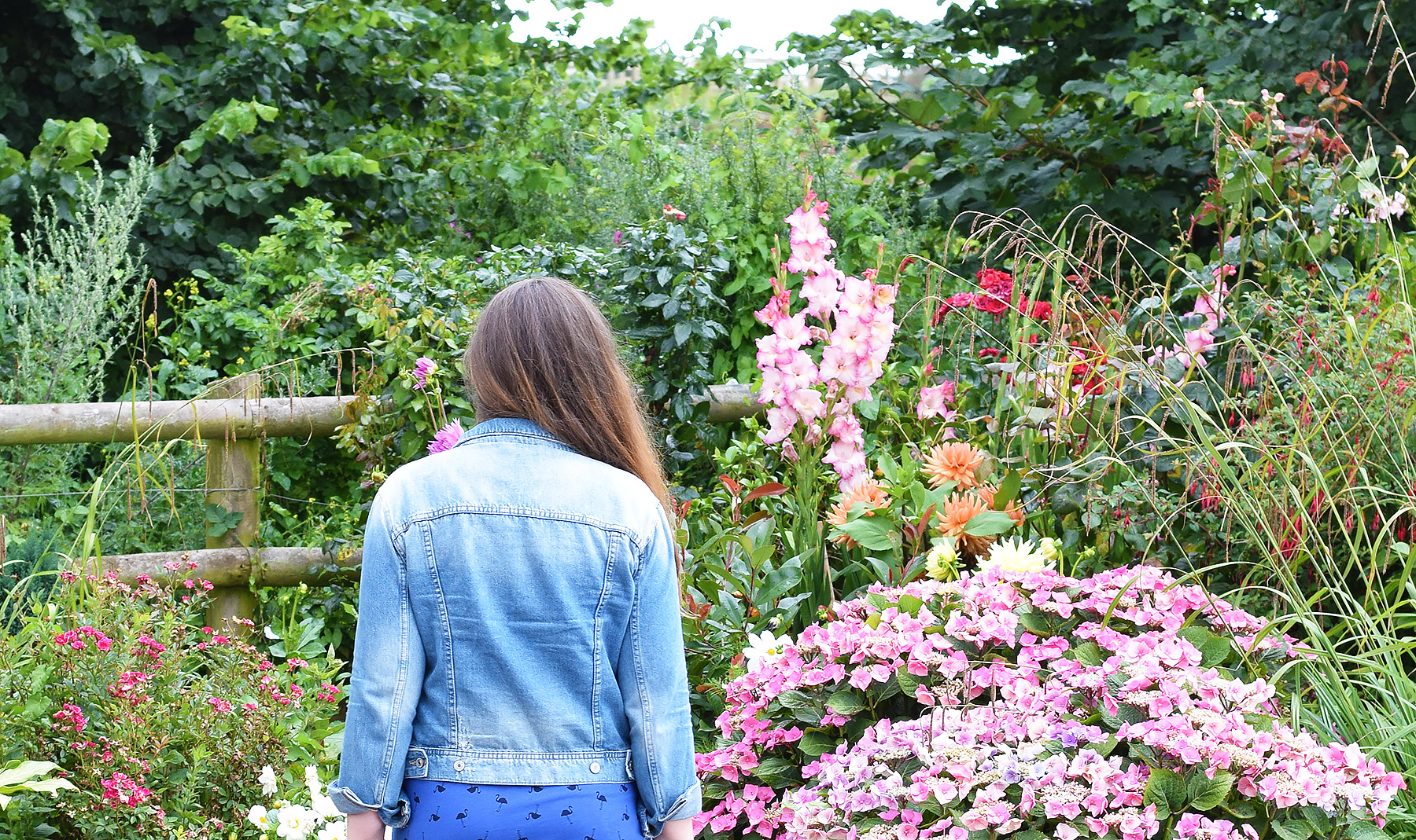 Looking at a floral garden wearing zara denim jacket