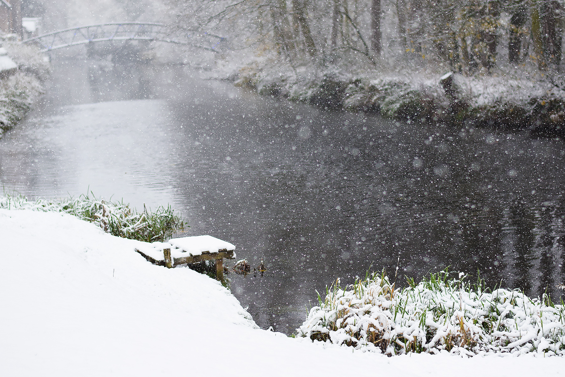 Snowy Scene By the river