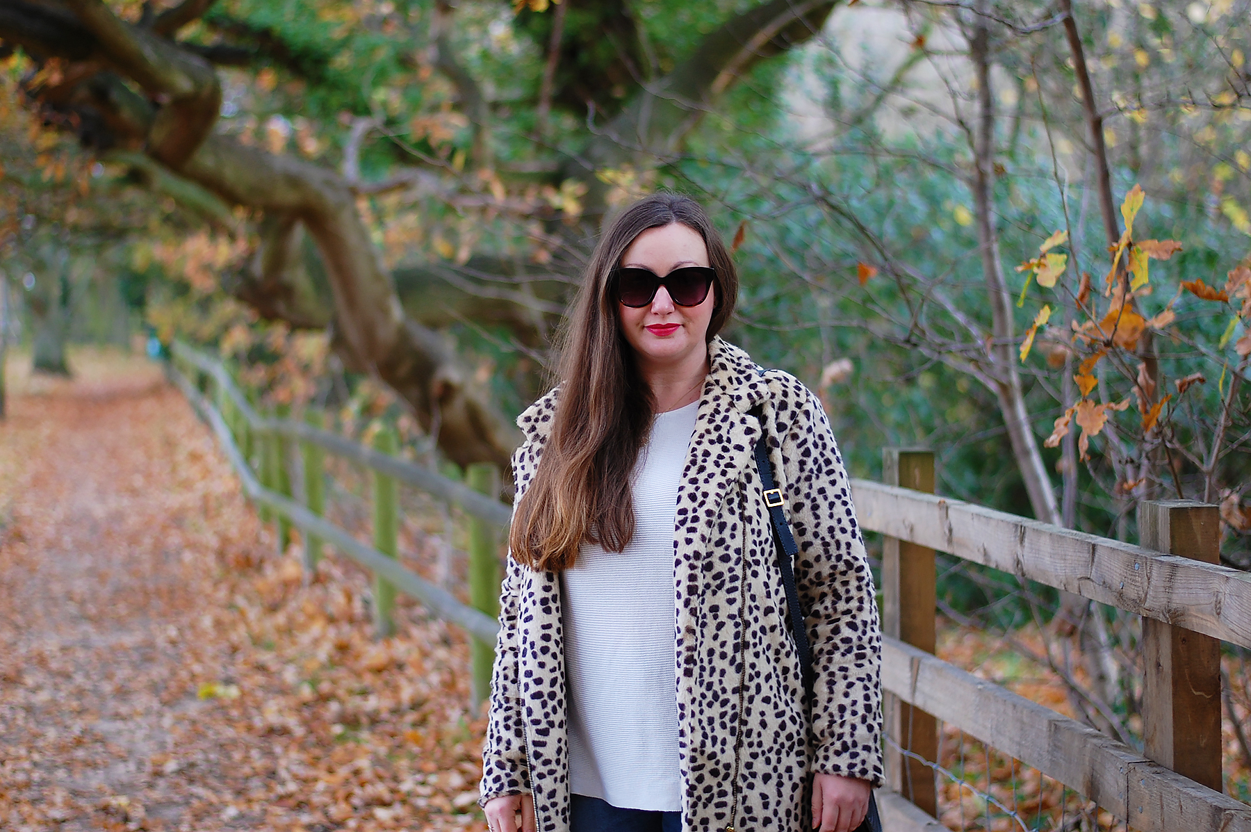 Animal Print Coat and Red Lipstick Outfit
