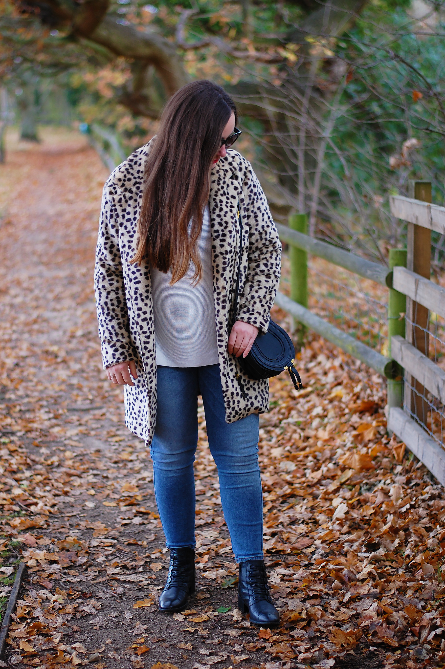 Animal Print Jacket and blue jeans outfit