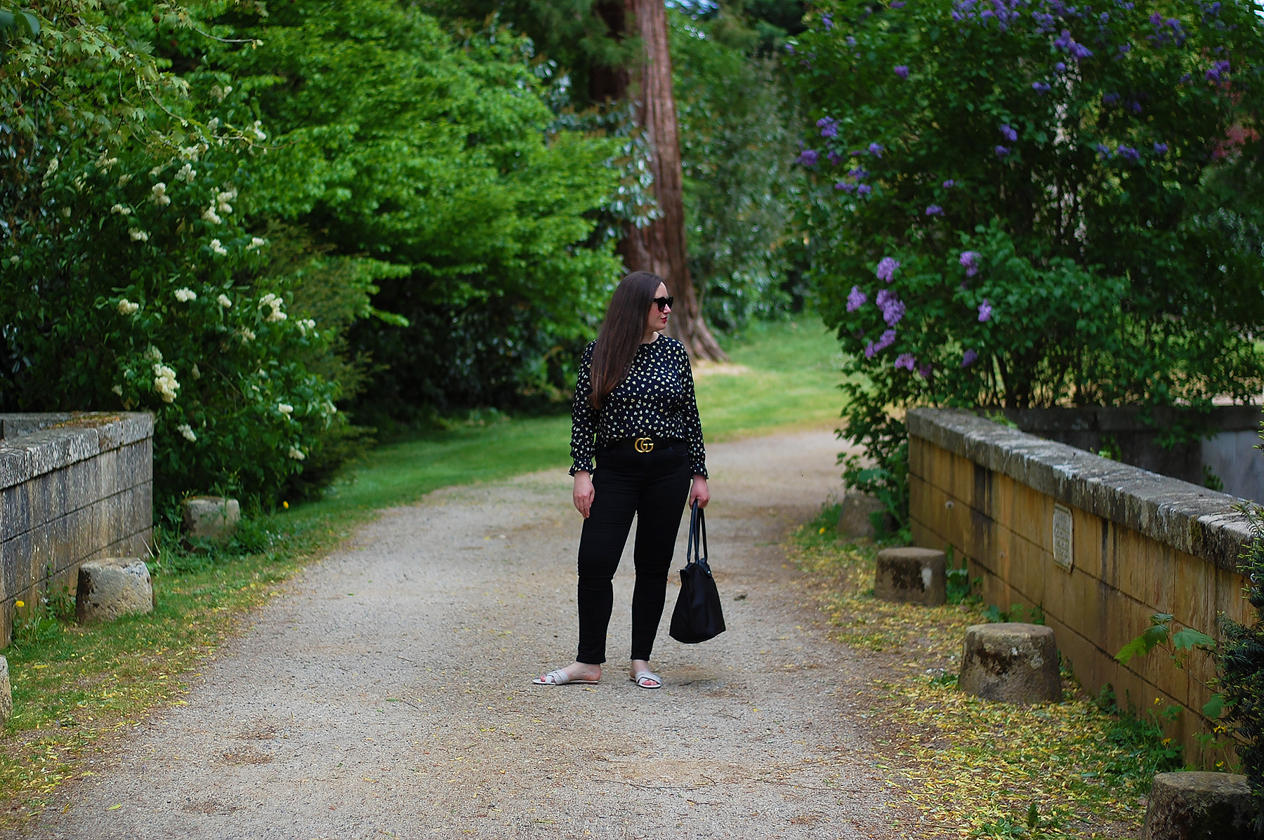 The gardens of Chateau De Brissac France