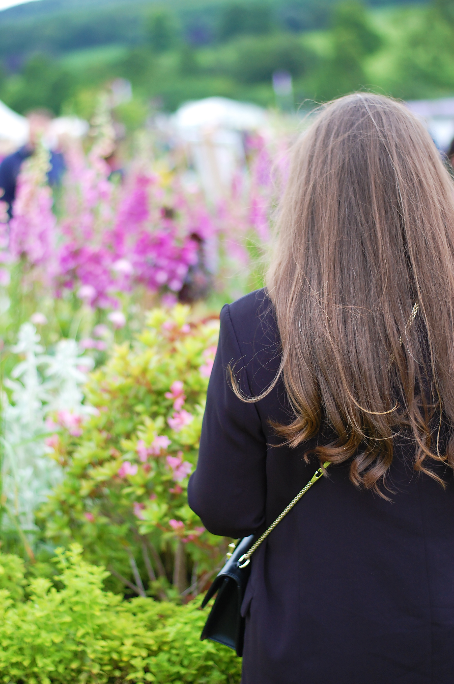 RHS Chatsworth Flower Show 2019 Review