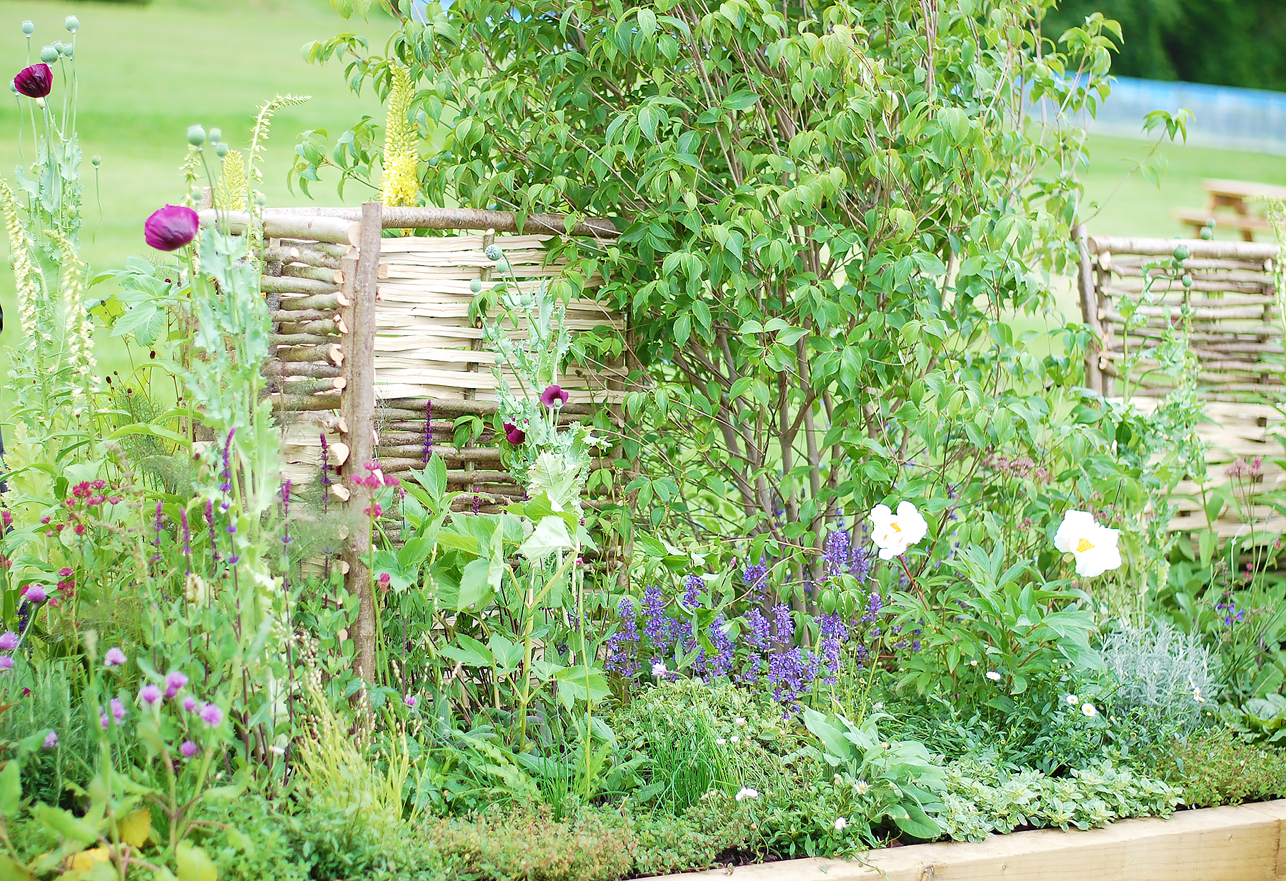 Chatsworth Flower Show Borders