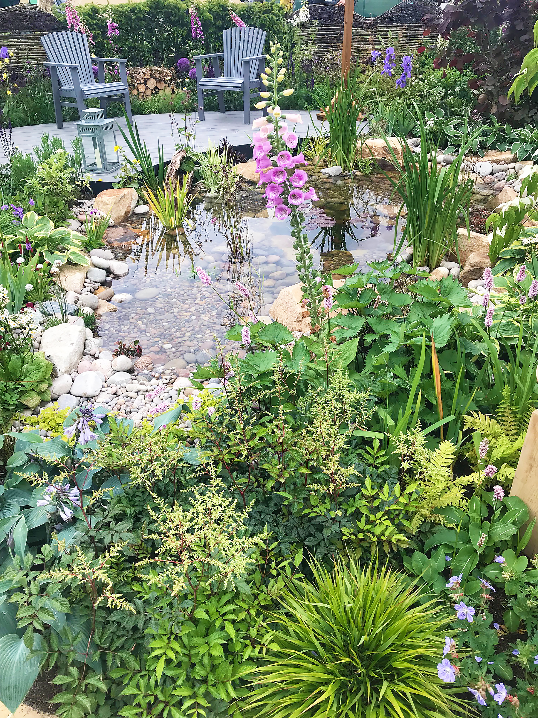 Pond at RHS Chatsworth Flower Show