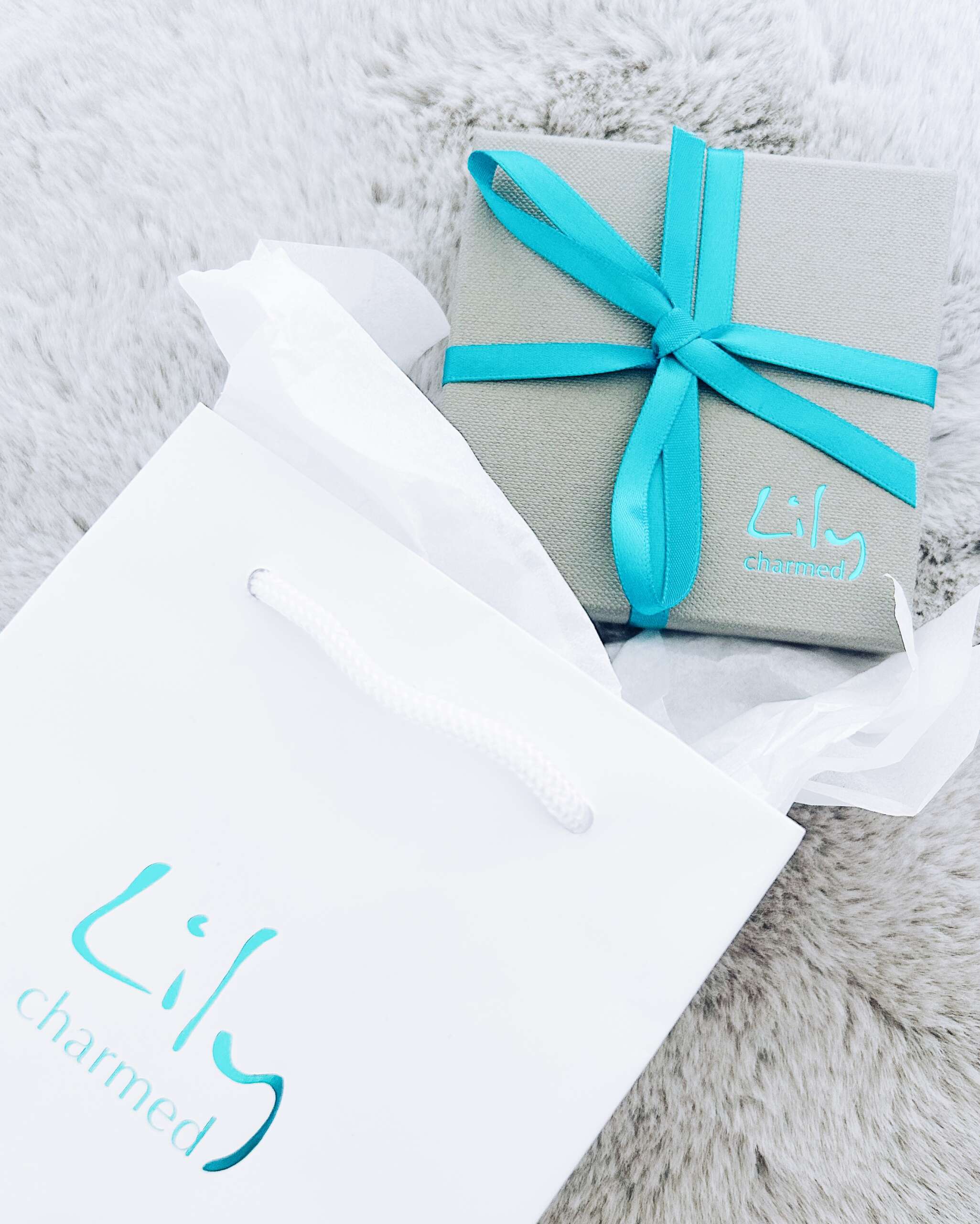 Lily Charmed Gift Packaging - Christmas Jewellery 2023